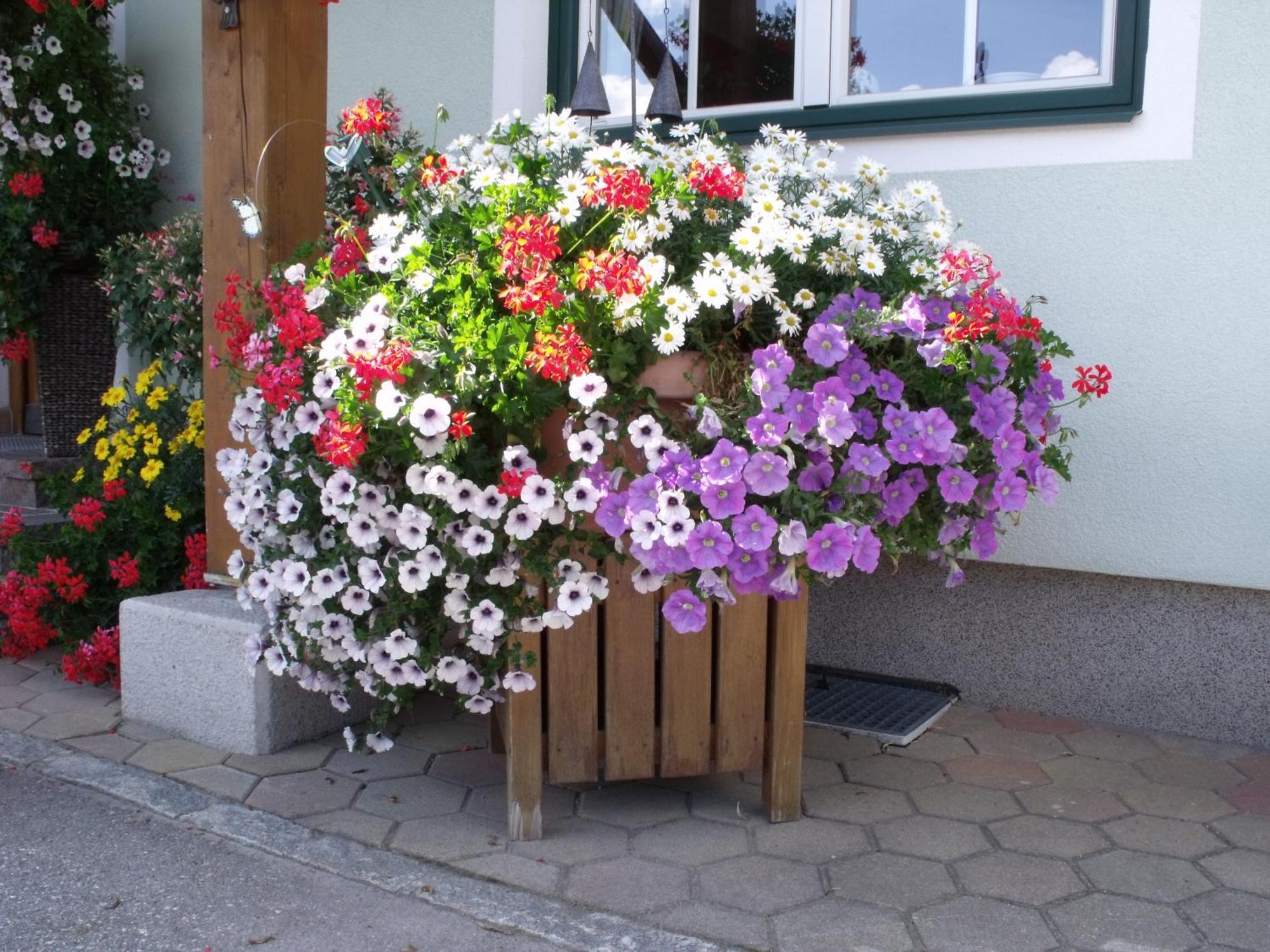 Appartements Bacherhof Schladming Bagian luar foto